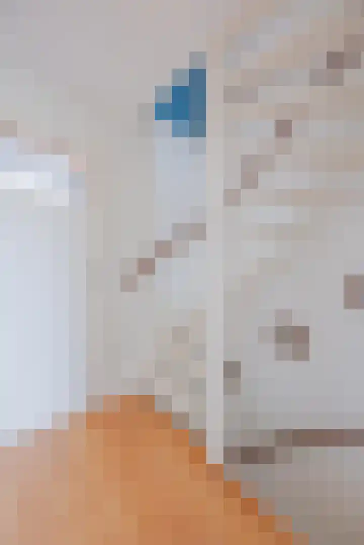 Biezenstraat 3 Raamsdonksveer thumbnail 38