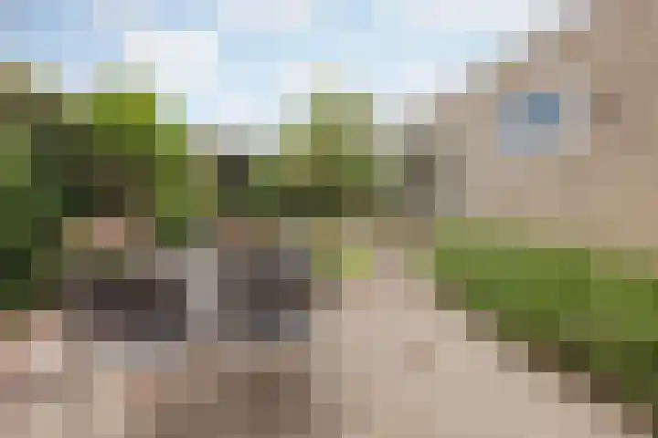 Biezenstraat 3 Raamsdonksveer thumbnail 44