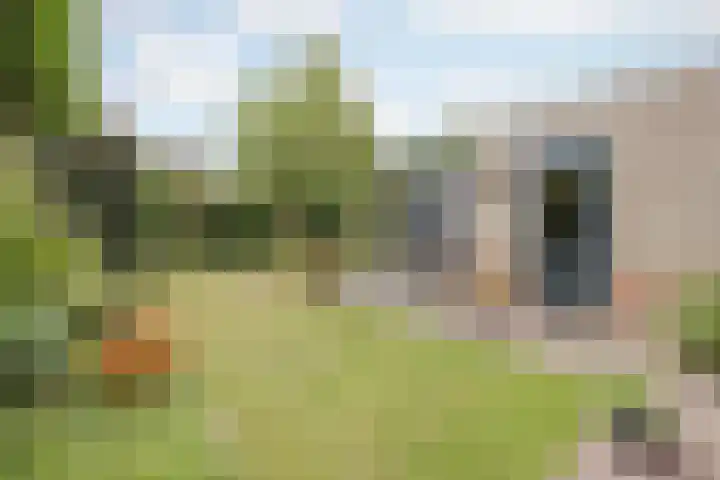 Biezenstraat 3 Raamsdonksveer thumbnail 46