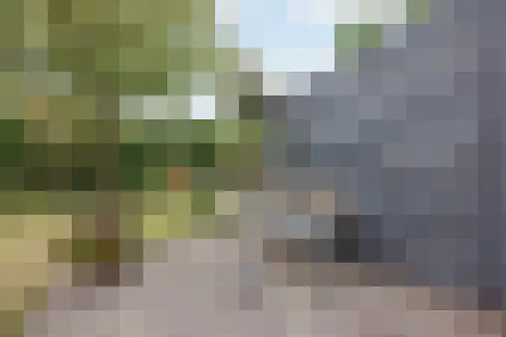 Biezenstraat 3 Raamsdonksveer thumbnail 47