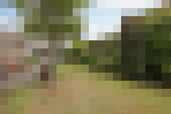 Biezenstraat 3 Raamsdonksveer thumbnail 49