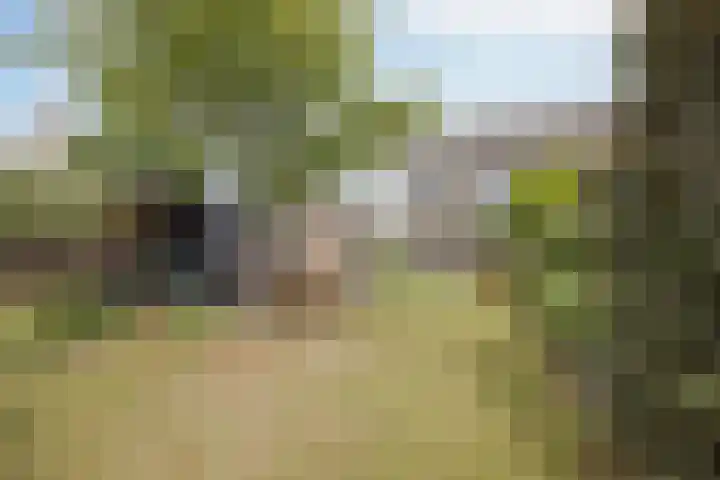 Biezenstraat 3 Raamsdonksveer thumbnail 5