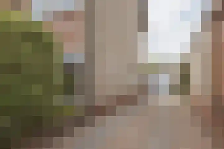 Biezenstraat 3 Raamsdonksveer thumbnail 9