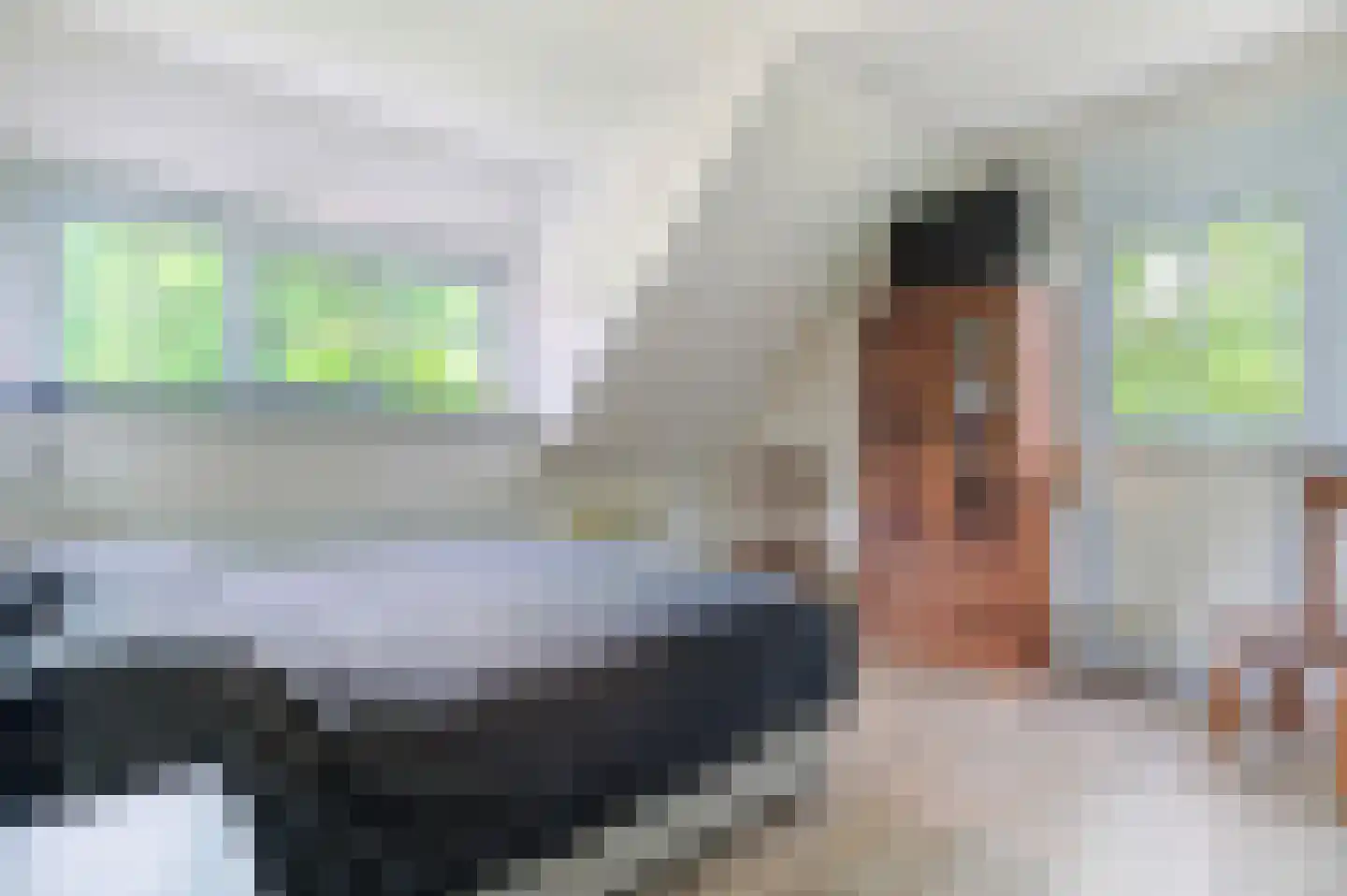 Biezenstraat 30 Wouw thumbnail 25