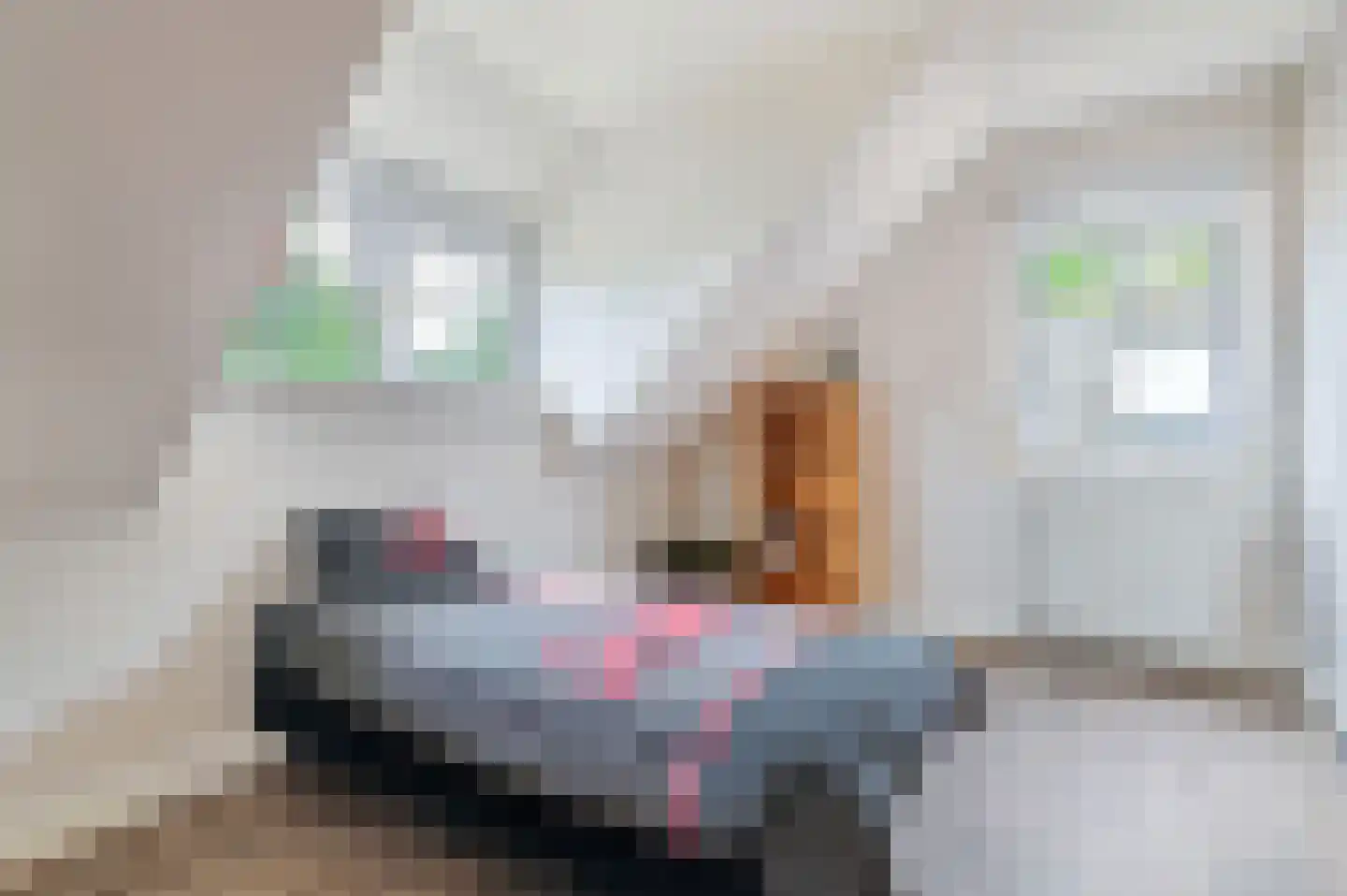 Biezenstraat 30 Wouw thumbnail 26