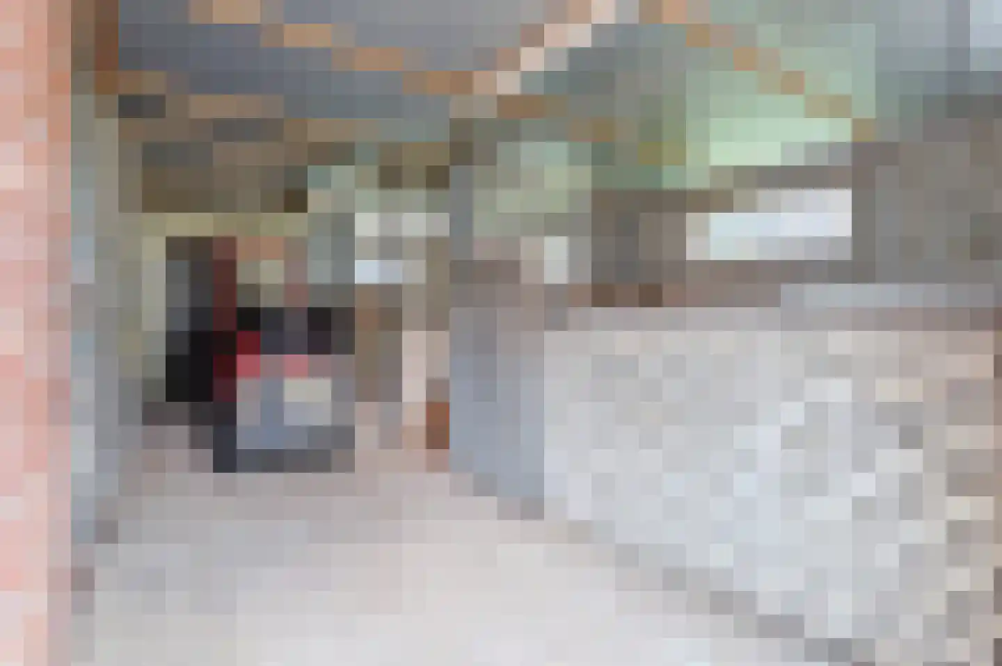 Biezenstraat 30 Wouw thumbnail 44