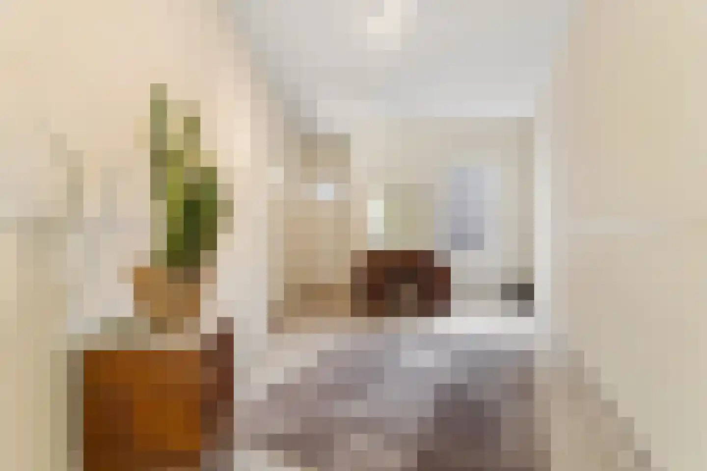 Biezenstraat 4 B Nijmegen thumbnail 24