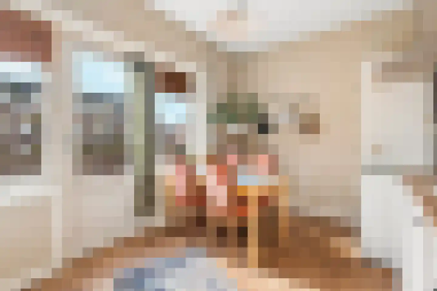Biezenstraat 4 B Nijmegen thumbnail 28