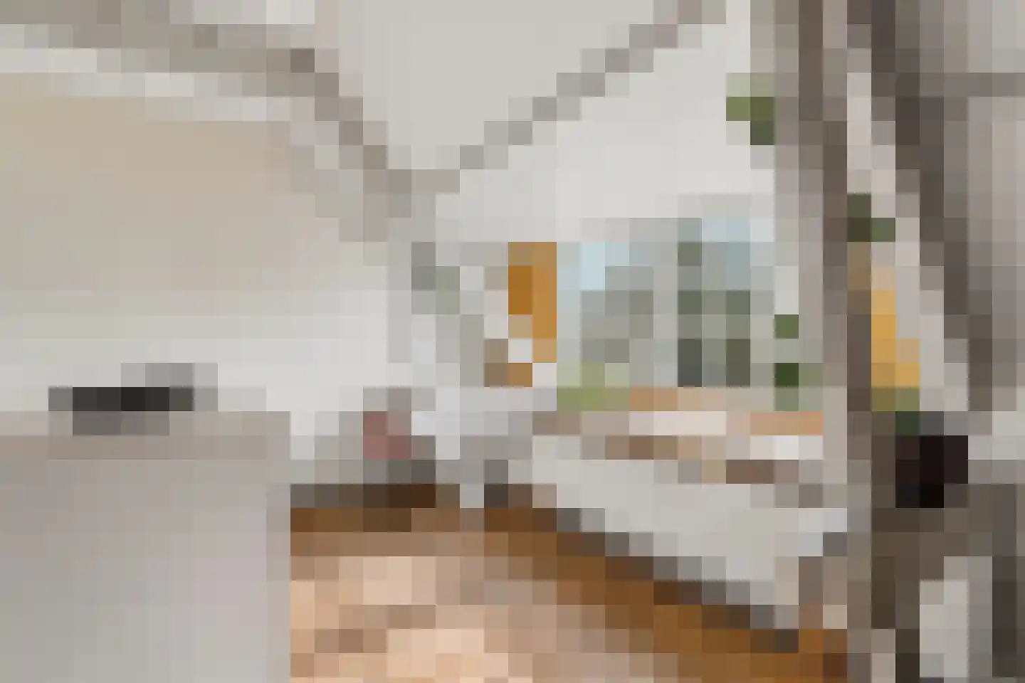 Biezenstraat 4 B Nijmegen thumbnail 58