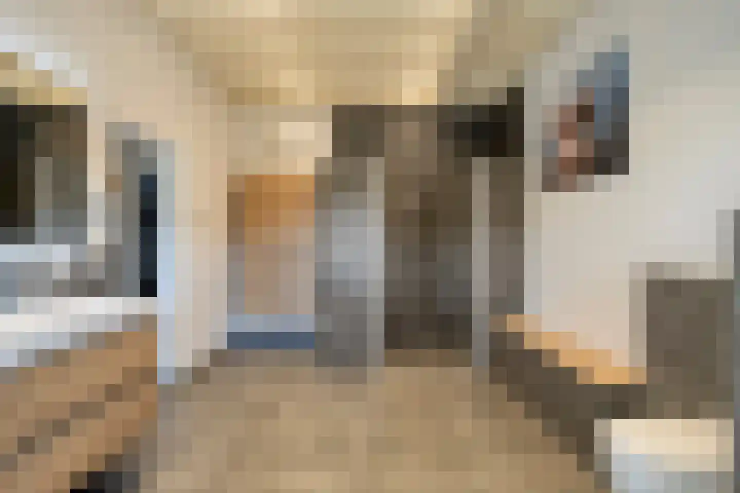 Biezenstraat 7 Roosendaal thumbnail 27