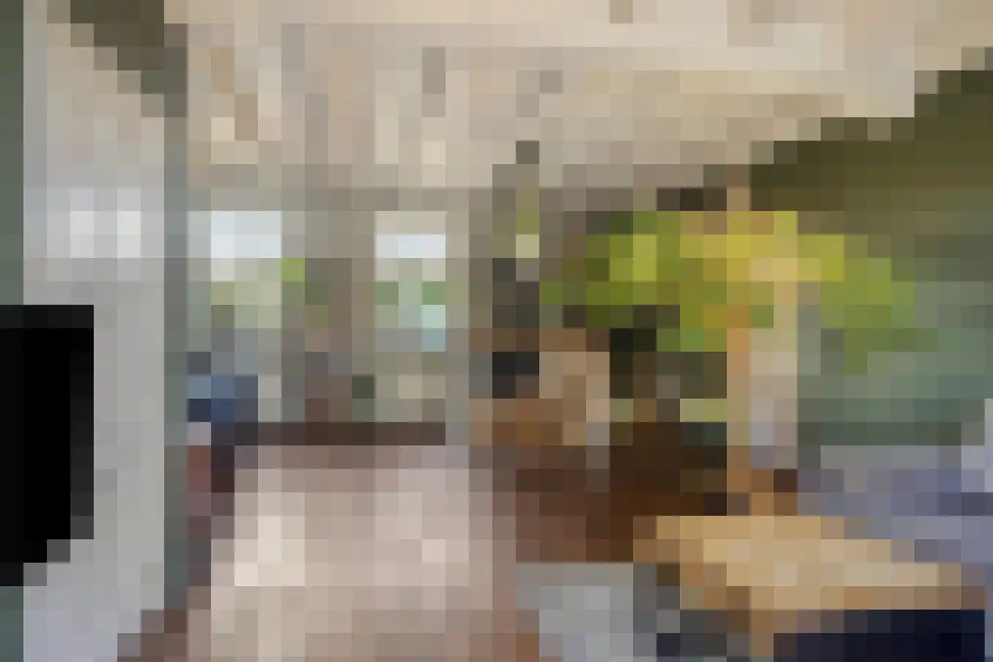 Biezenstraat 7 Roosendaal thumbnail 35