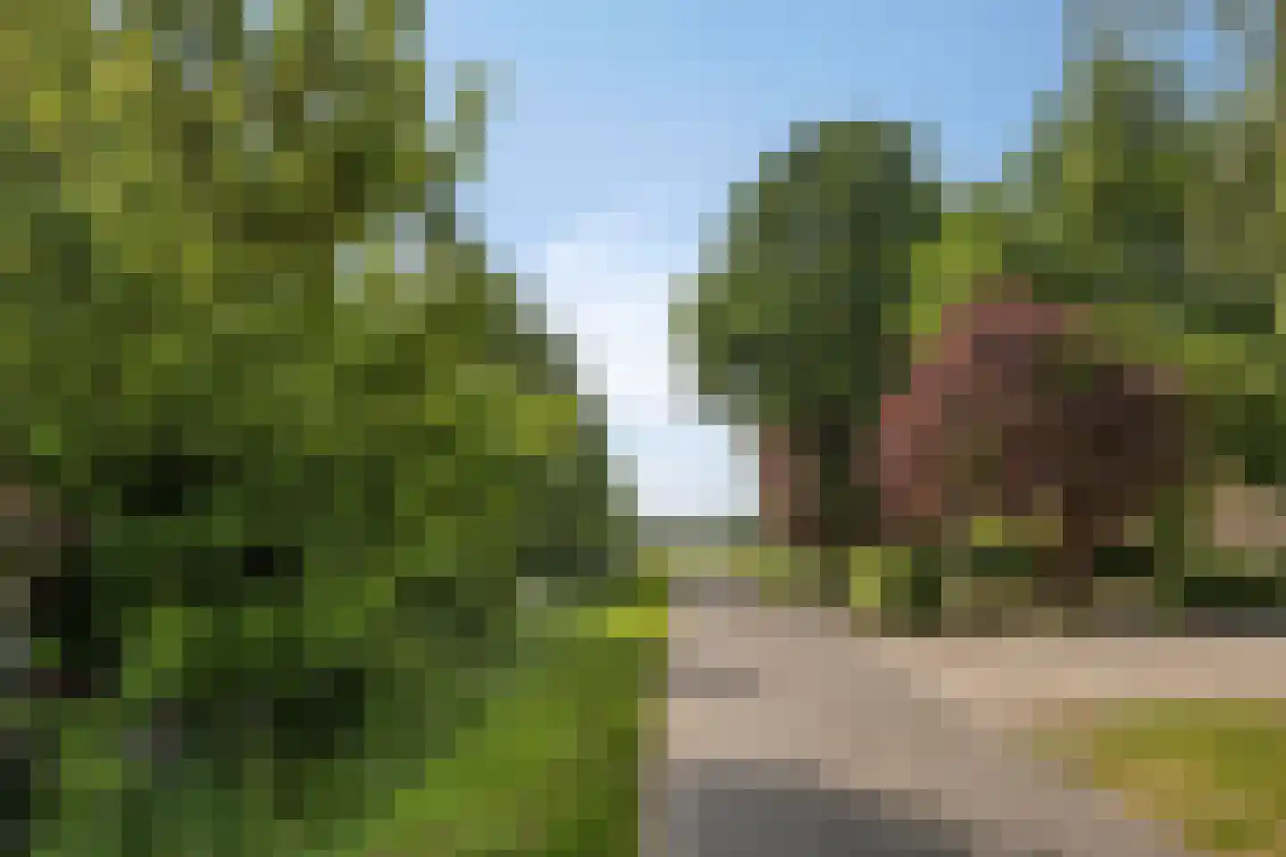 Biezenstraat 7 Roosendaal thumbnail 4