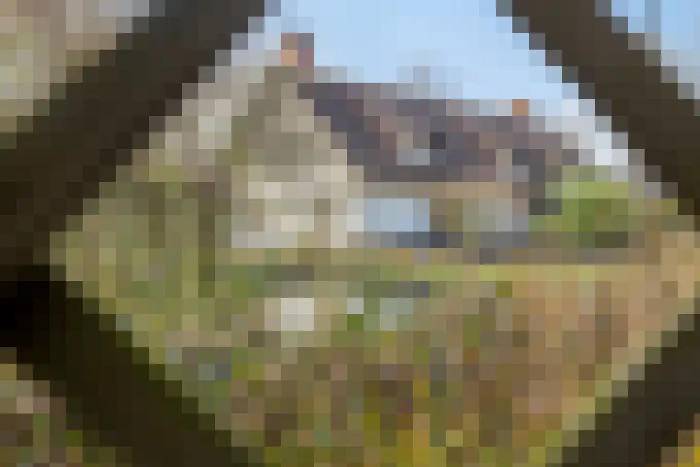 Biezenstraat 7 Roosendaal thumbnail 61
