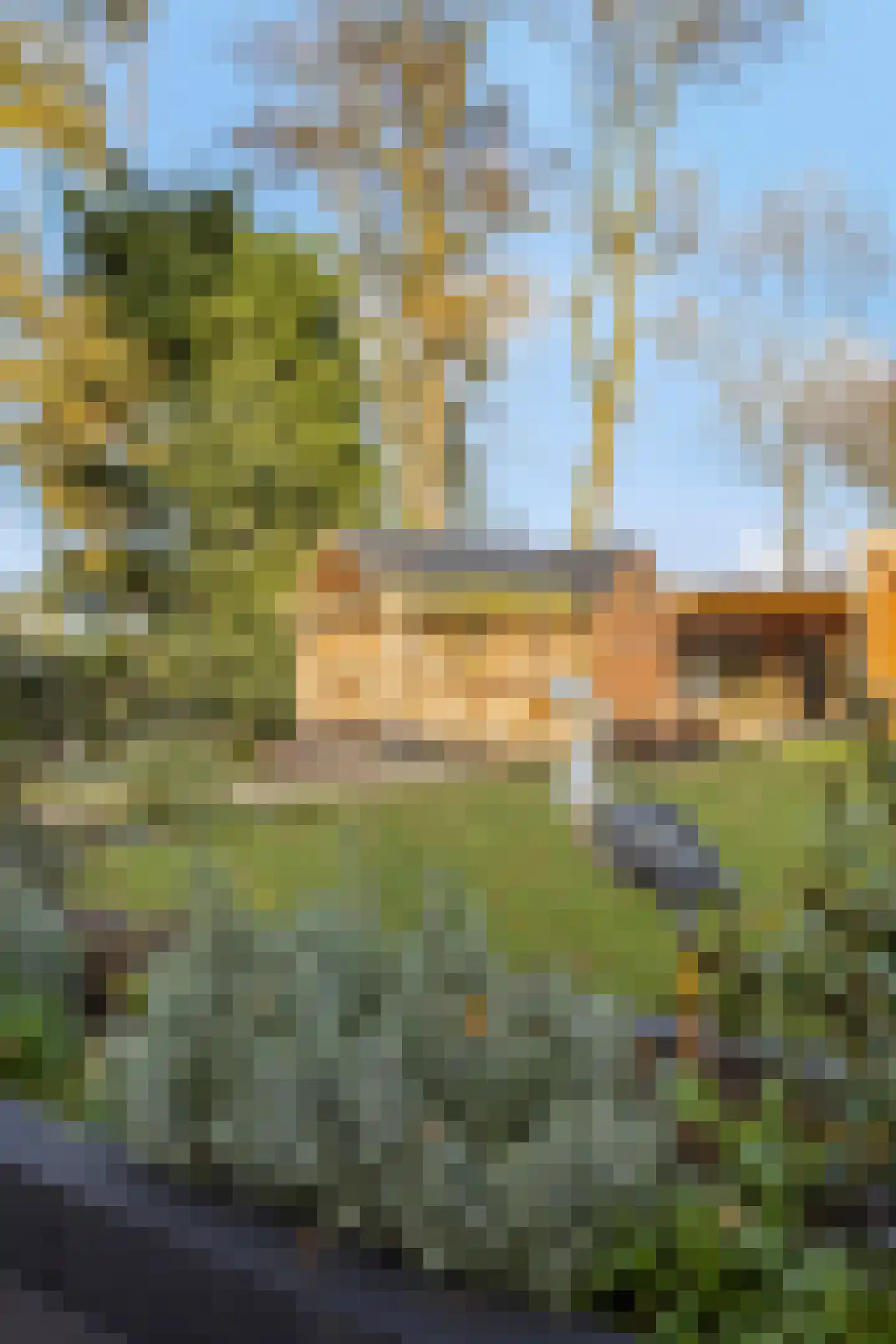 Biezenstraat 7 Roosendaal thumbnail 63