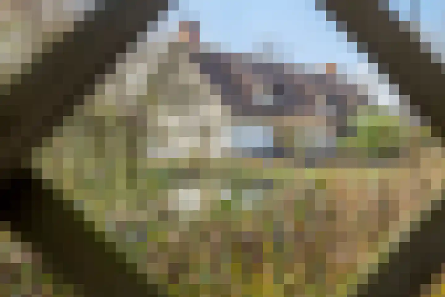 Biezenstraat 7 Roosendaal thumbnail 69
