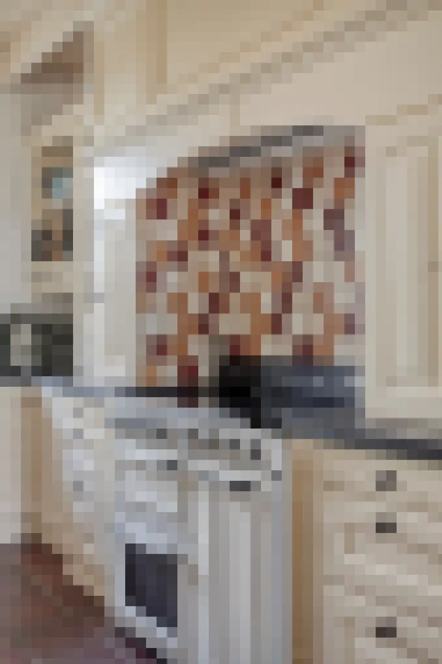 Biezenstraat 7 Roosendaal thumbnail 7