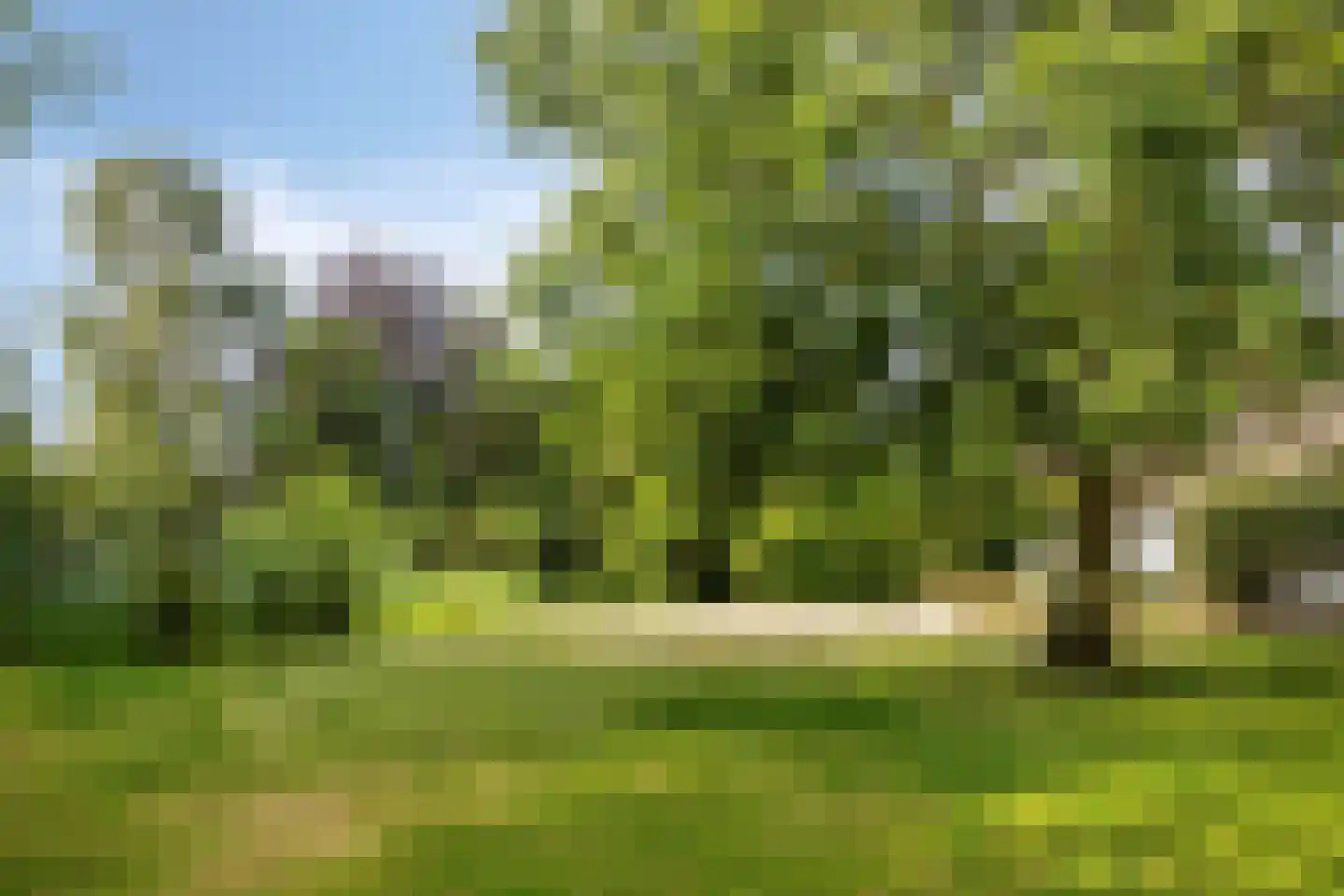Biezenstraat 7 Roosendaal thumbnail 70