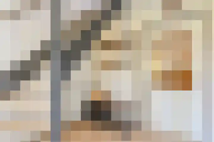 Biezenstraat 8 Dalen thumbnail 11