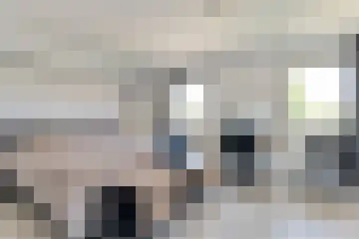 Biezenstraat 8 Dalen thumbnail 27