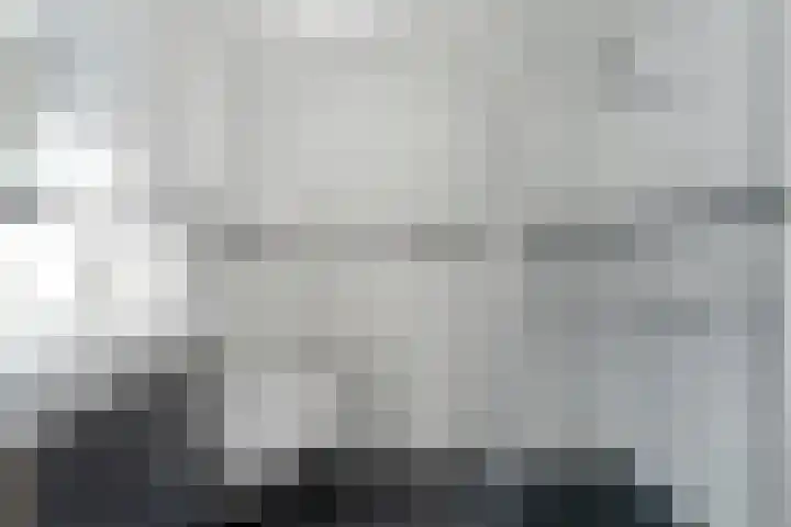 Biezenstraat 8 Dalen thumbnail 35