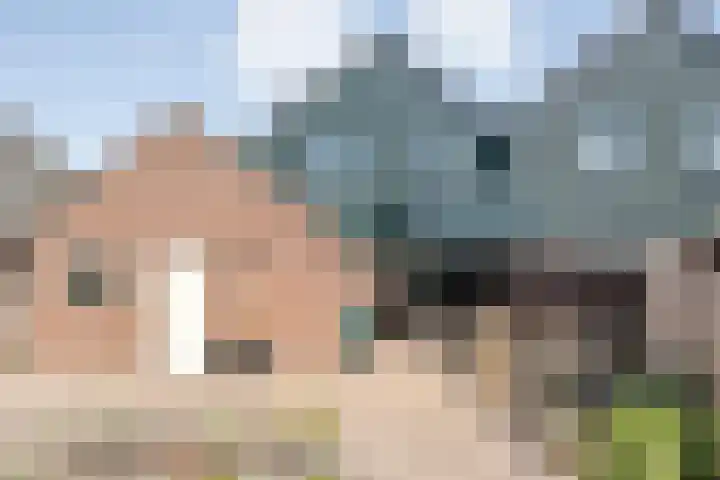 Biezenstraat 8 Dalen thumbnail 43