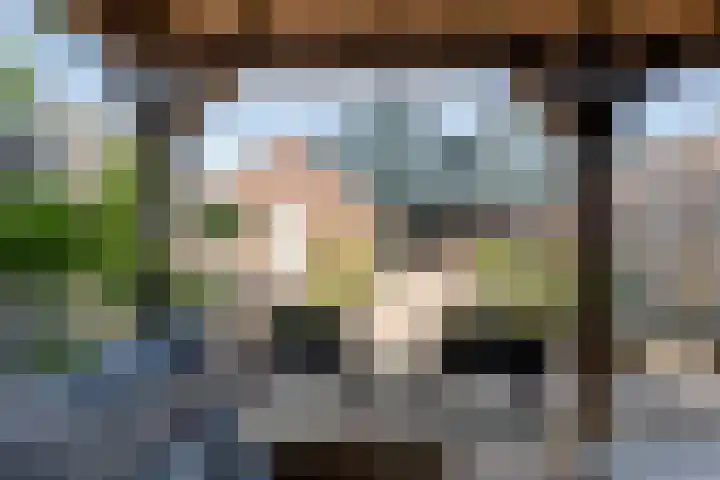Biezenstraat 8 Dalen thumbnail 47