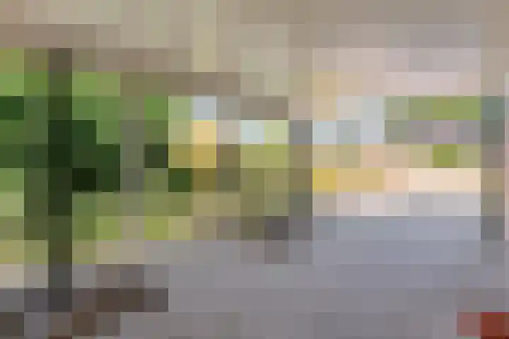 Biezenstraat 8 Dalen thumbnail 8
