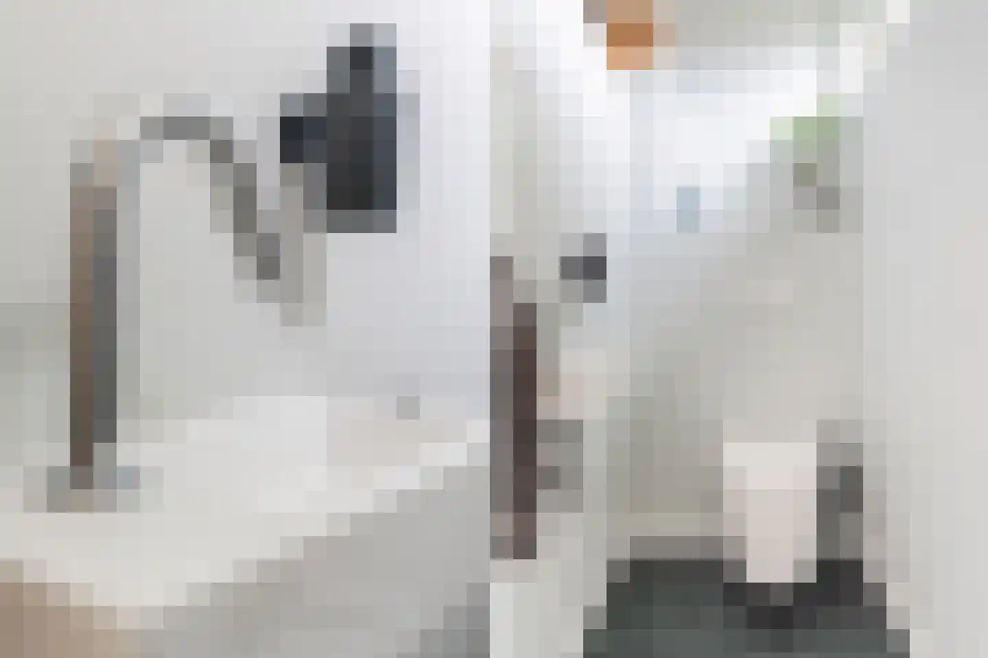 Biezenstraat 8 Geldrop thumbnail 10