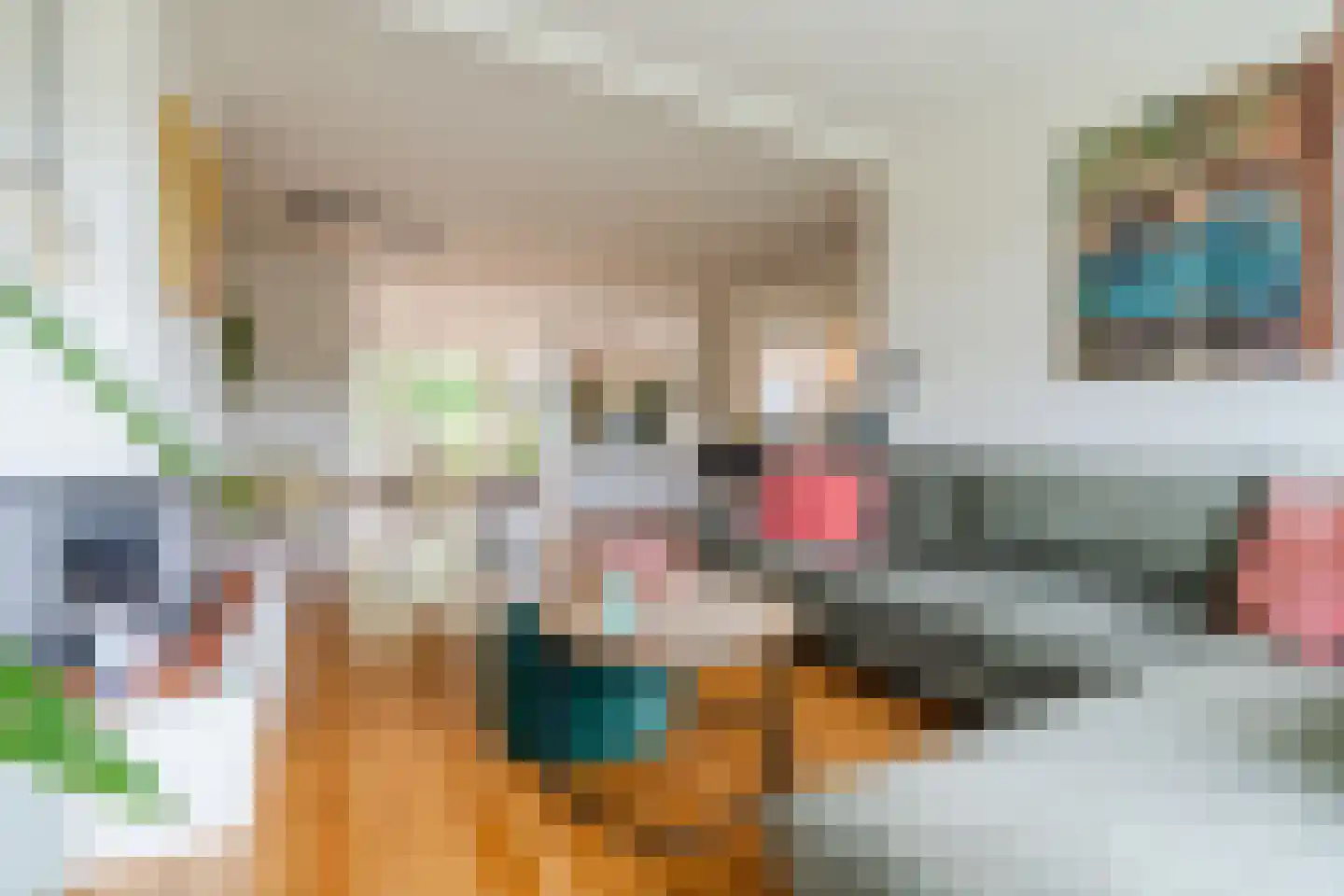 Biezenstraat 8 Geldrop thumbnail 13