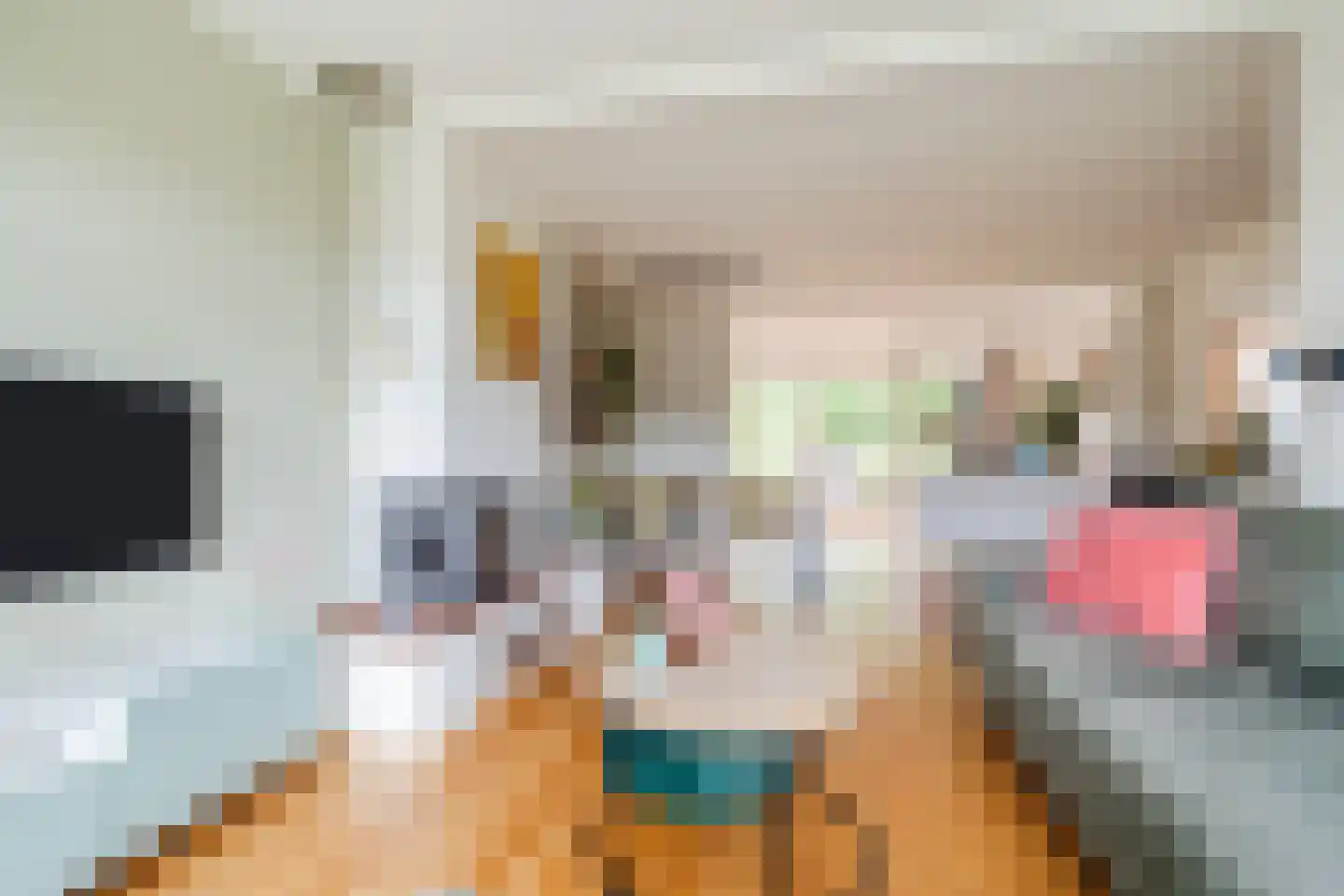Biezenstraat 8 Geldrop thumbnail 14