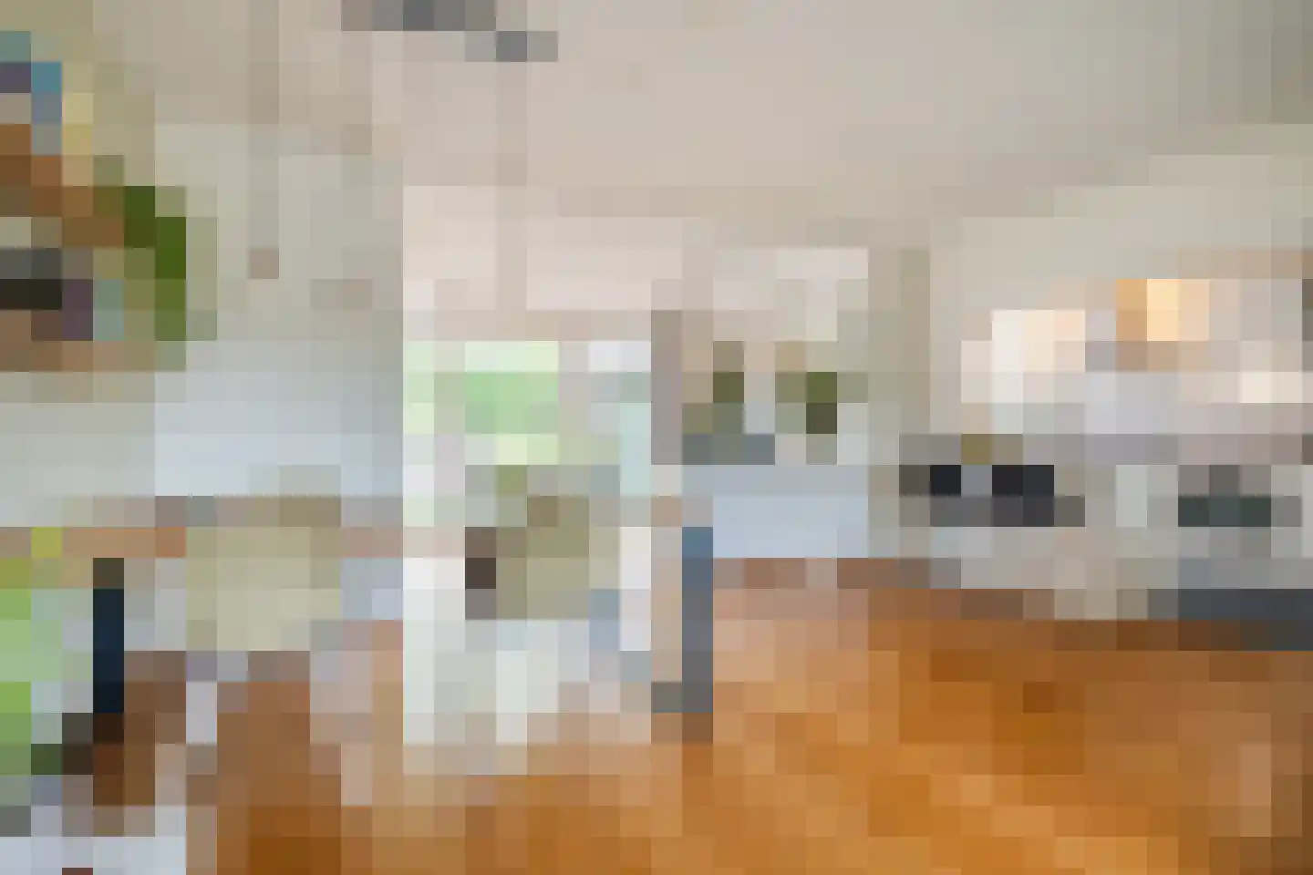 Biezenstraat 8 Geldrop thumbnail 16