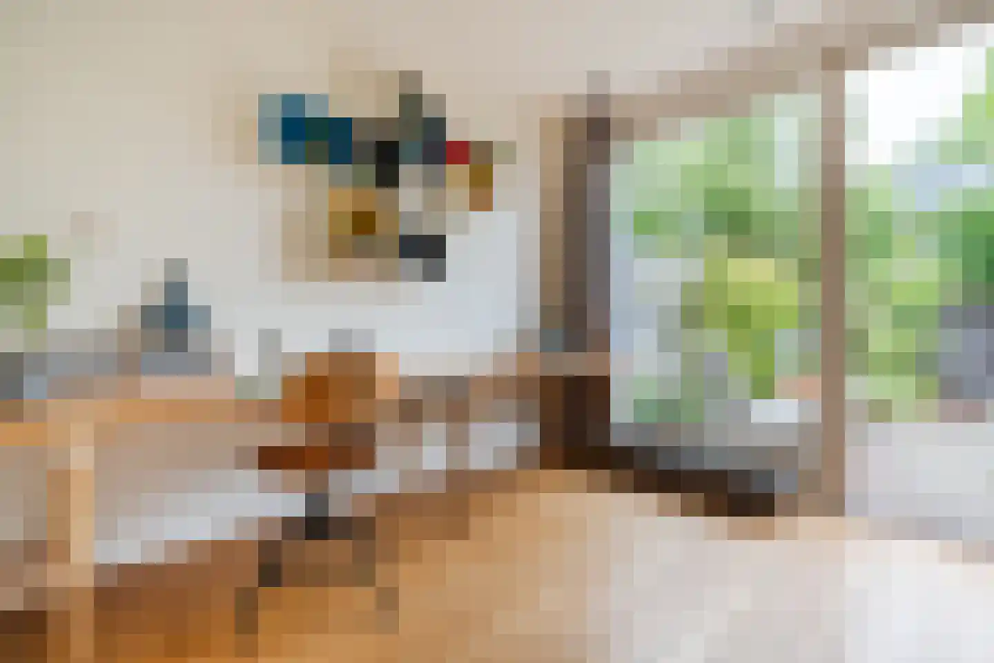 Biezenstraat 8 Geldrop thumbnail 25