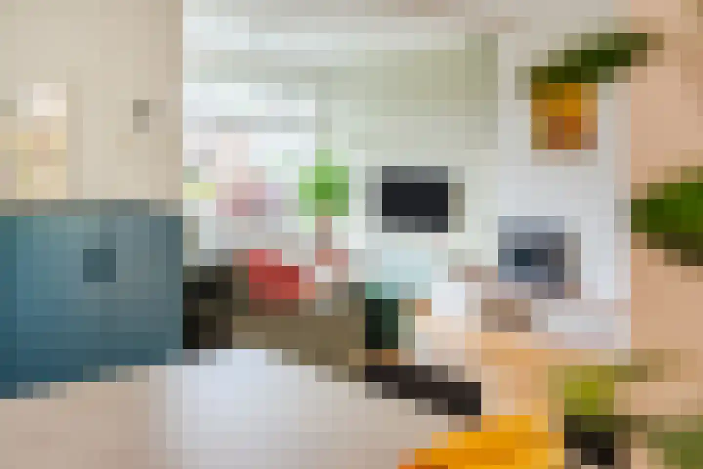 Biezenstraat 8 Geldrop thumbnail 26
