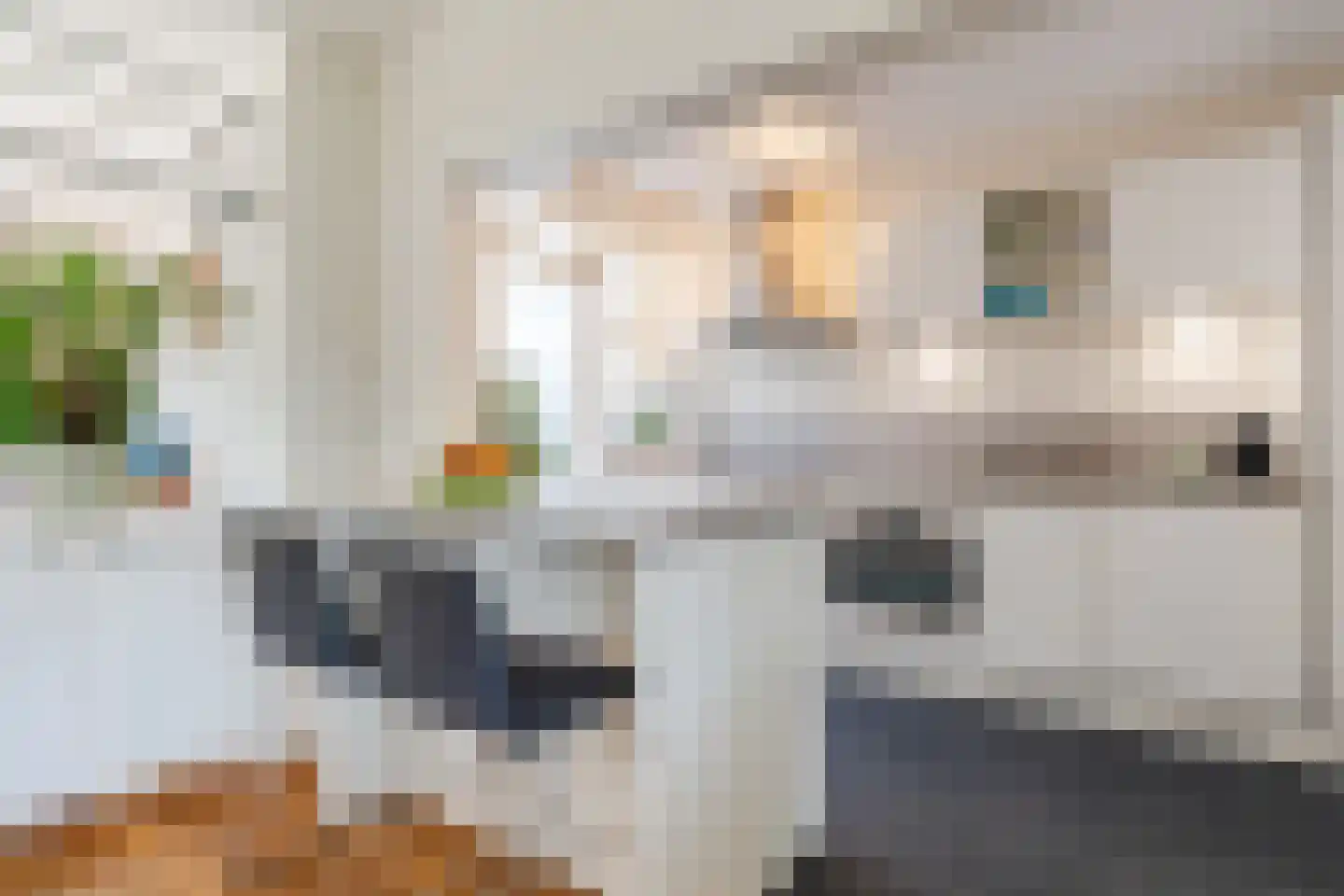 Biezenstraat 8 Geldrop thumbnail 28