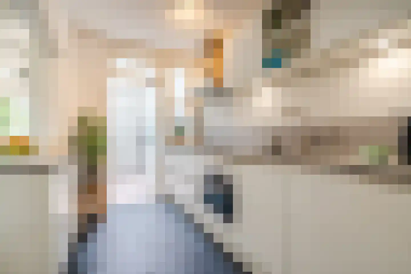 Biezenstraat 8 Geldrop thumbnail 29