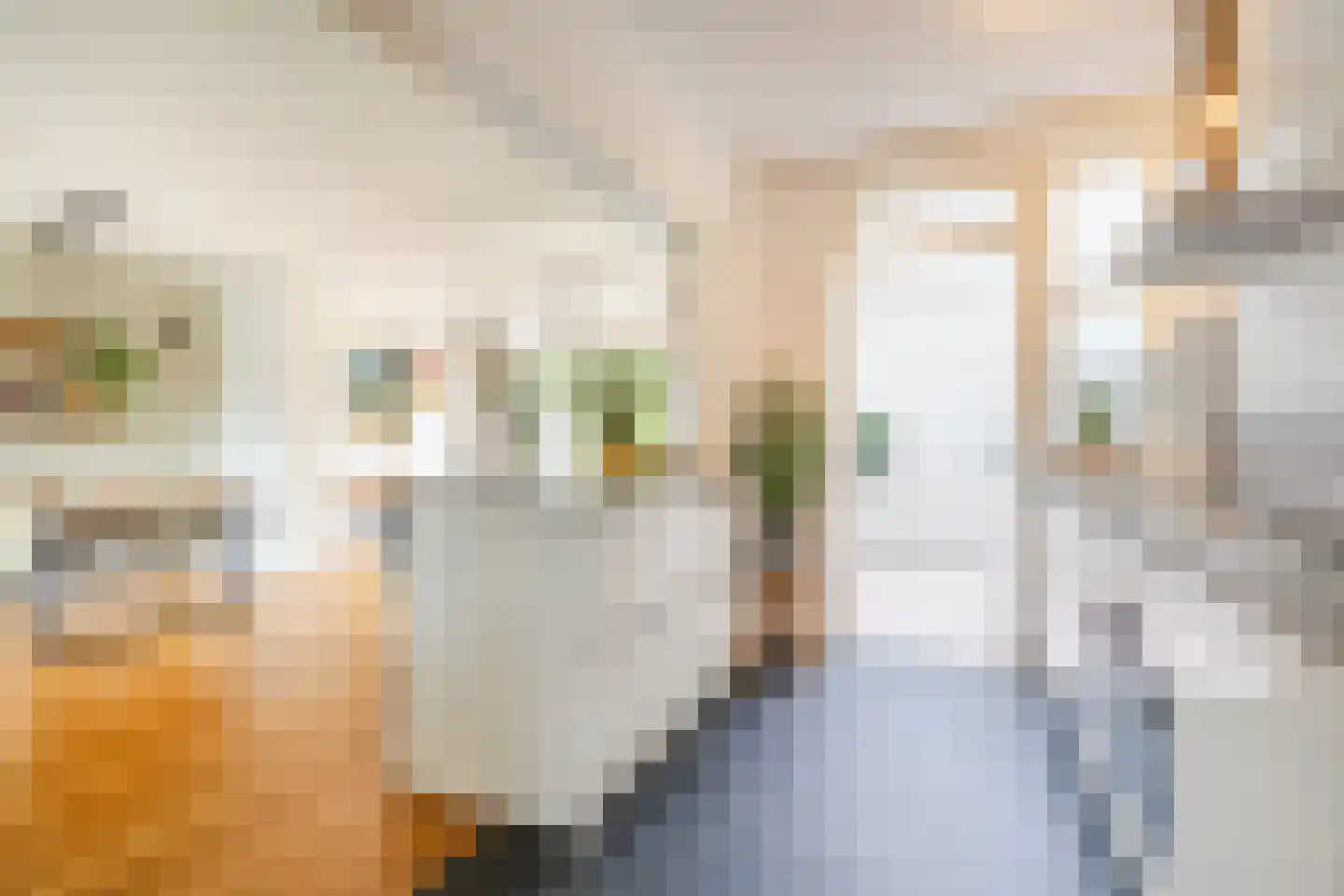 Biezenstraat 8 Geldrop thumbnail 30