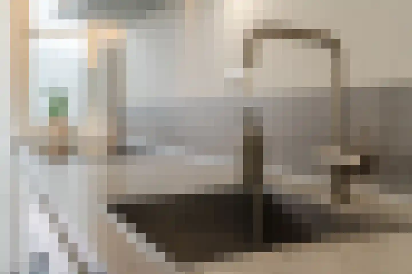 Biezenstraat 8 Geldrop thumbnail 33