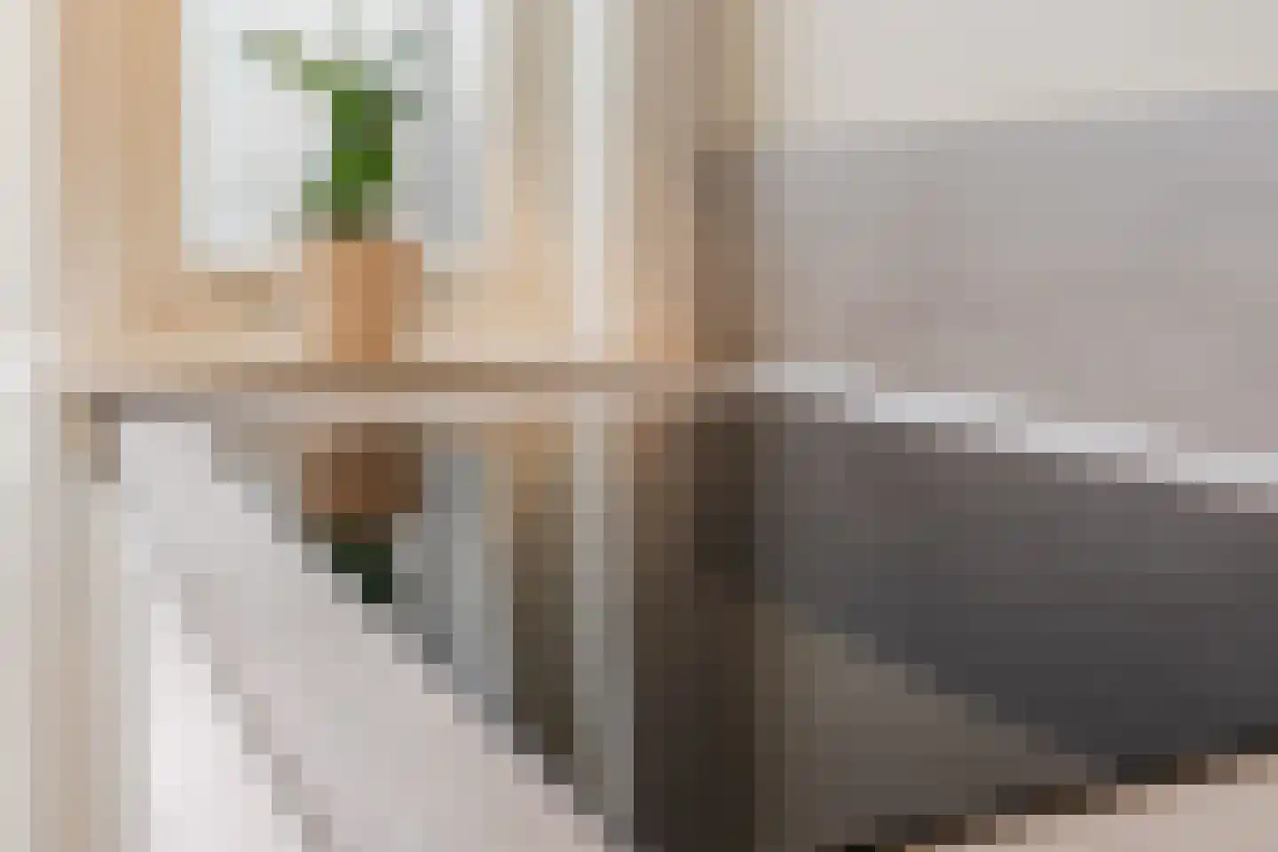 Biezenstraat 8 Geldrop thumbnail 34
