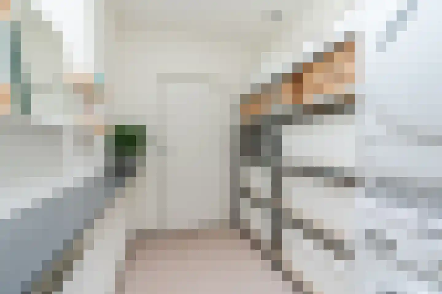 Biezenstraat 8 Geldrop thumbnail 36