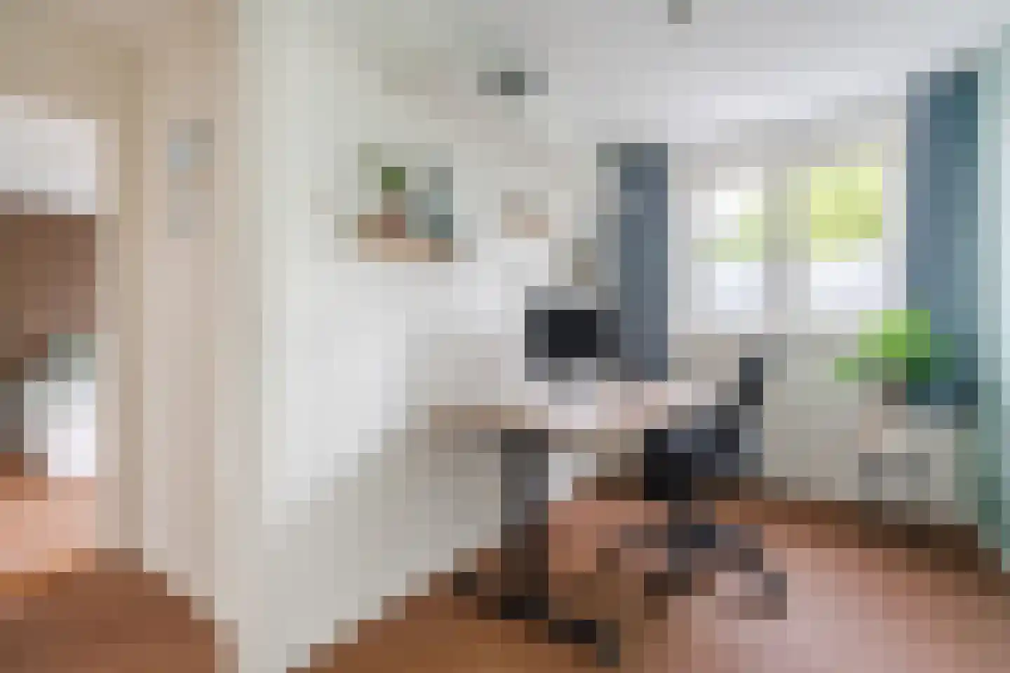 Biezenstraat 8 Geldrop thumbnail 41