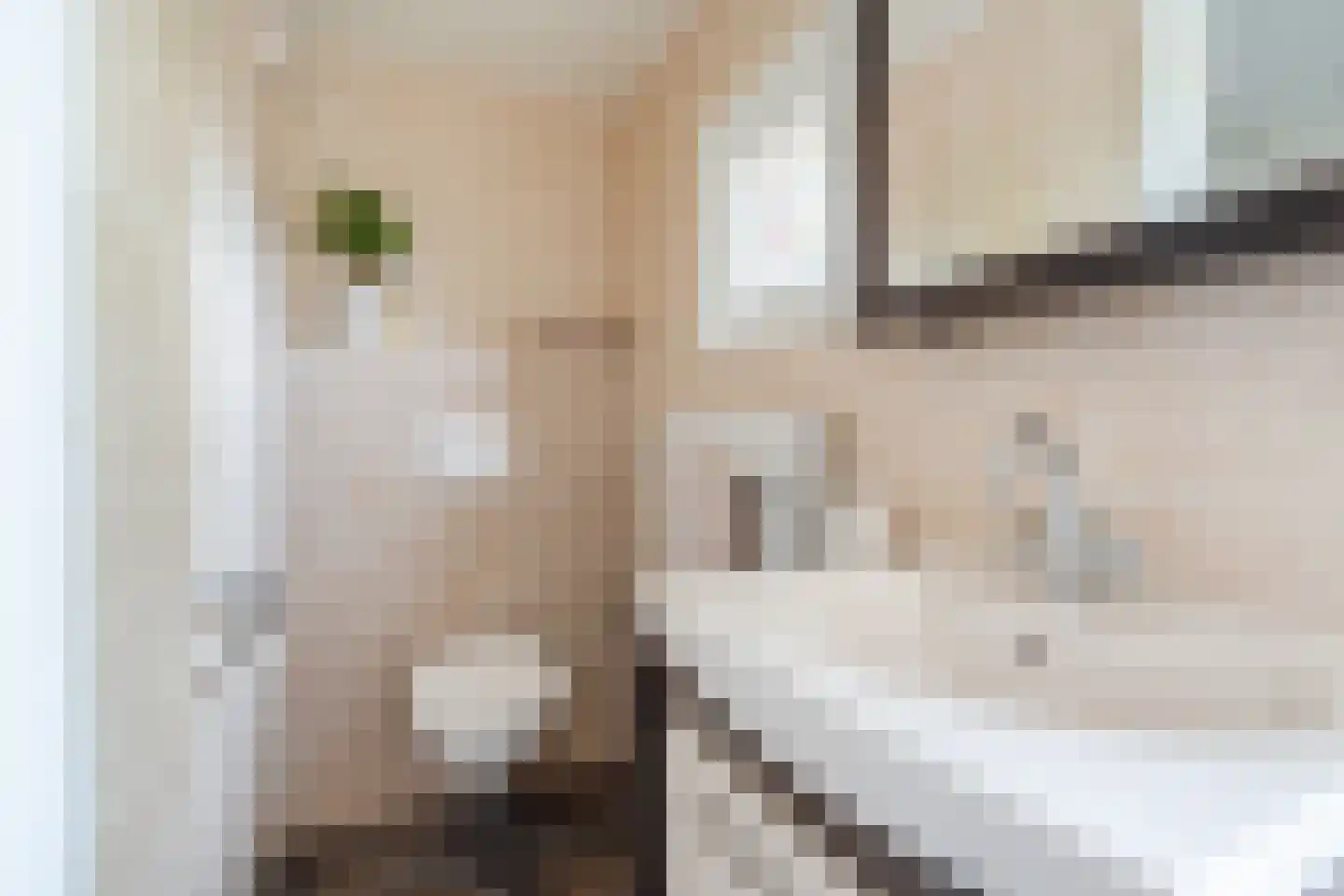 Biezenstraat 8 Geldrop thumbnail 42