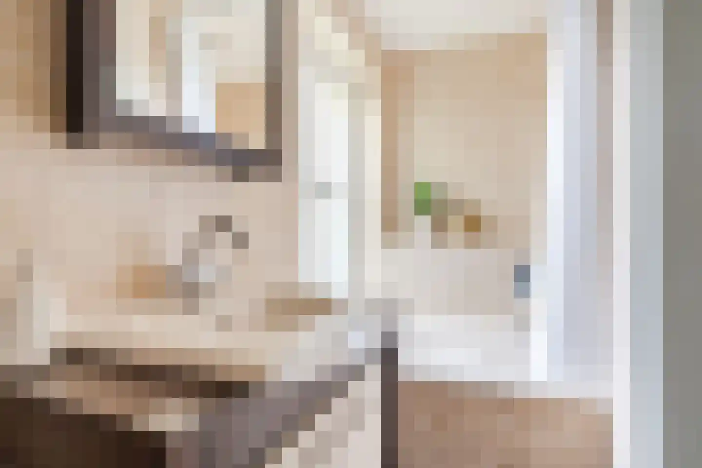 Biezenstraat 8 Geldrop thumbnail 43