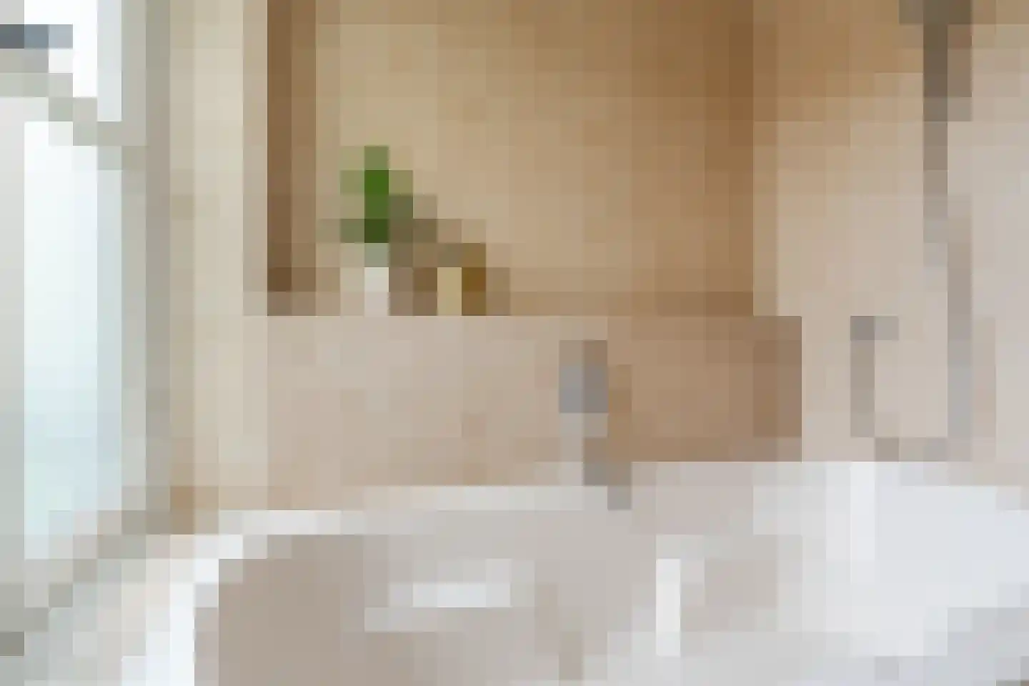 Biezenstraat 8 Geldrop thumbnail 45