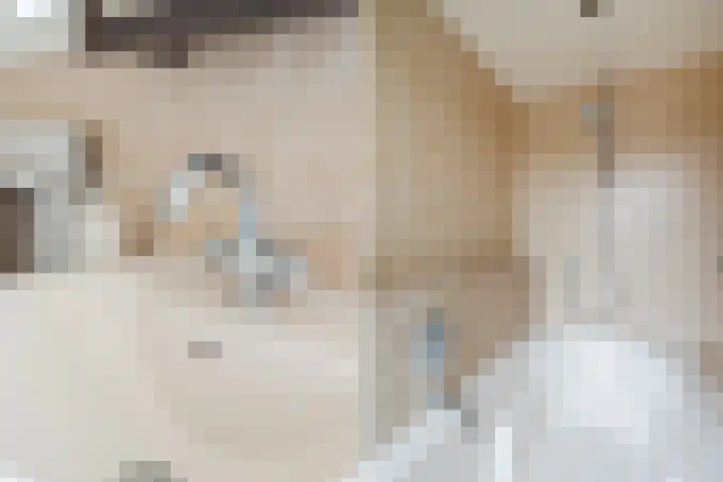 Biezenstraat 8 Geldrop thumbnail 48