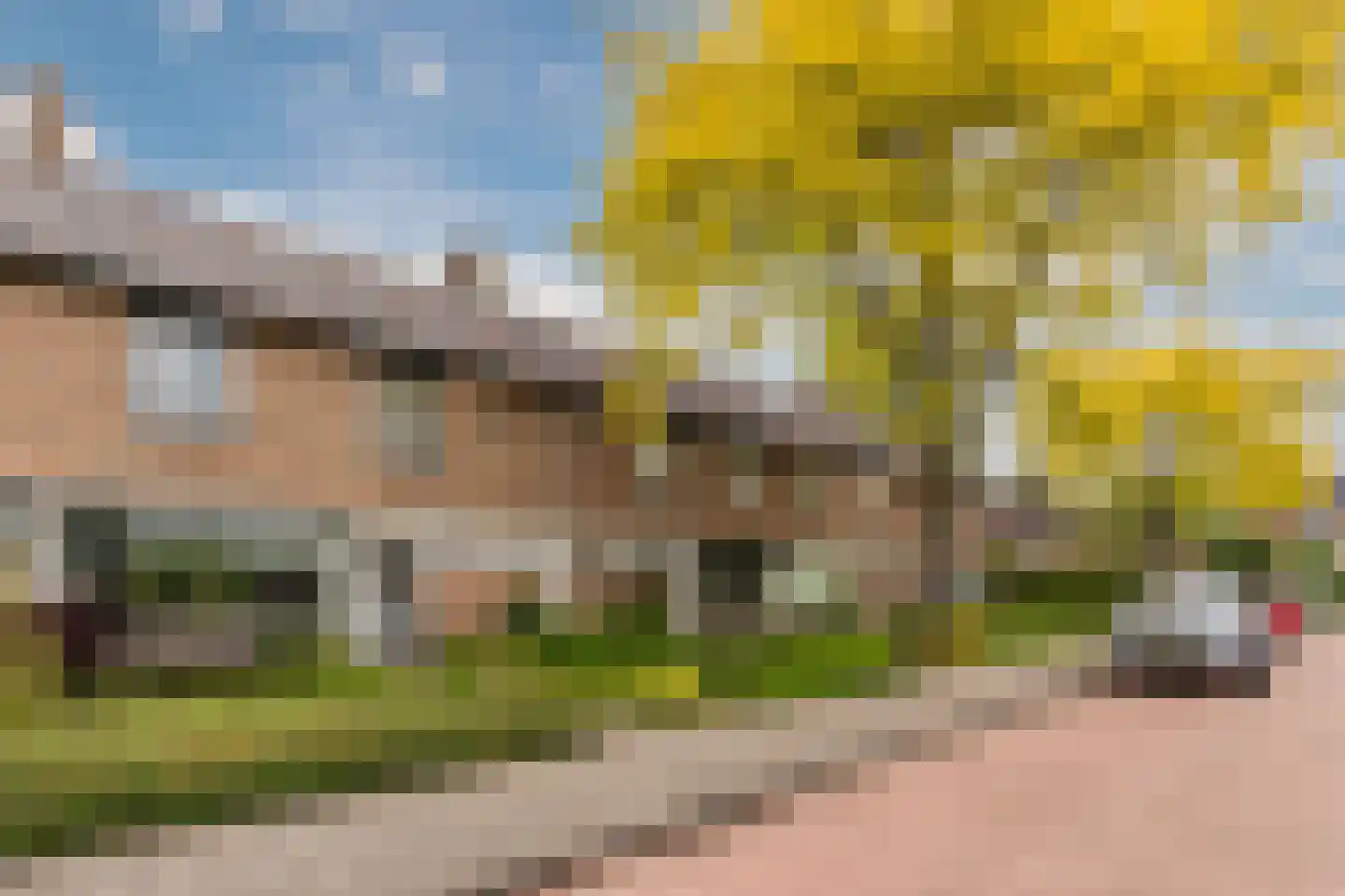 Biezenstraat 8 Geldrop thumbnail 5