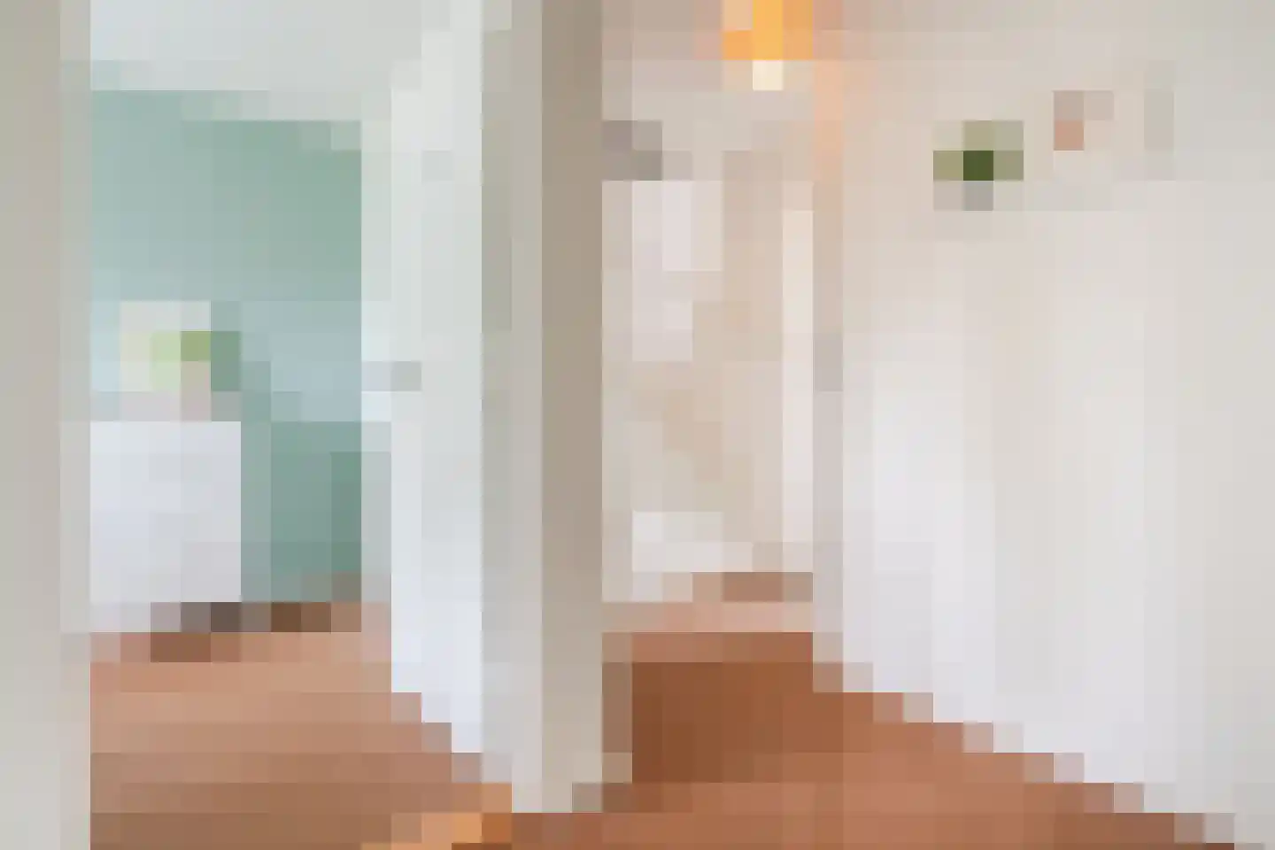 Biezenstraat 8 Geldrop thumbnail 50