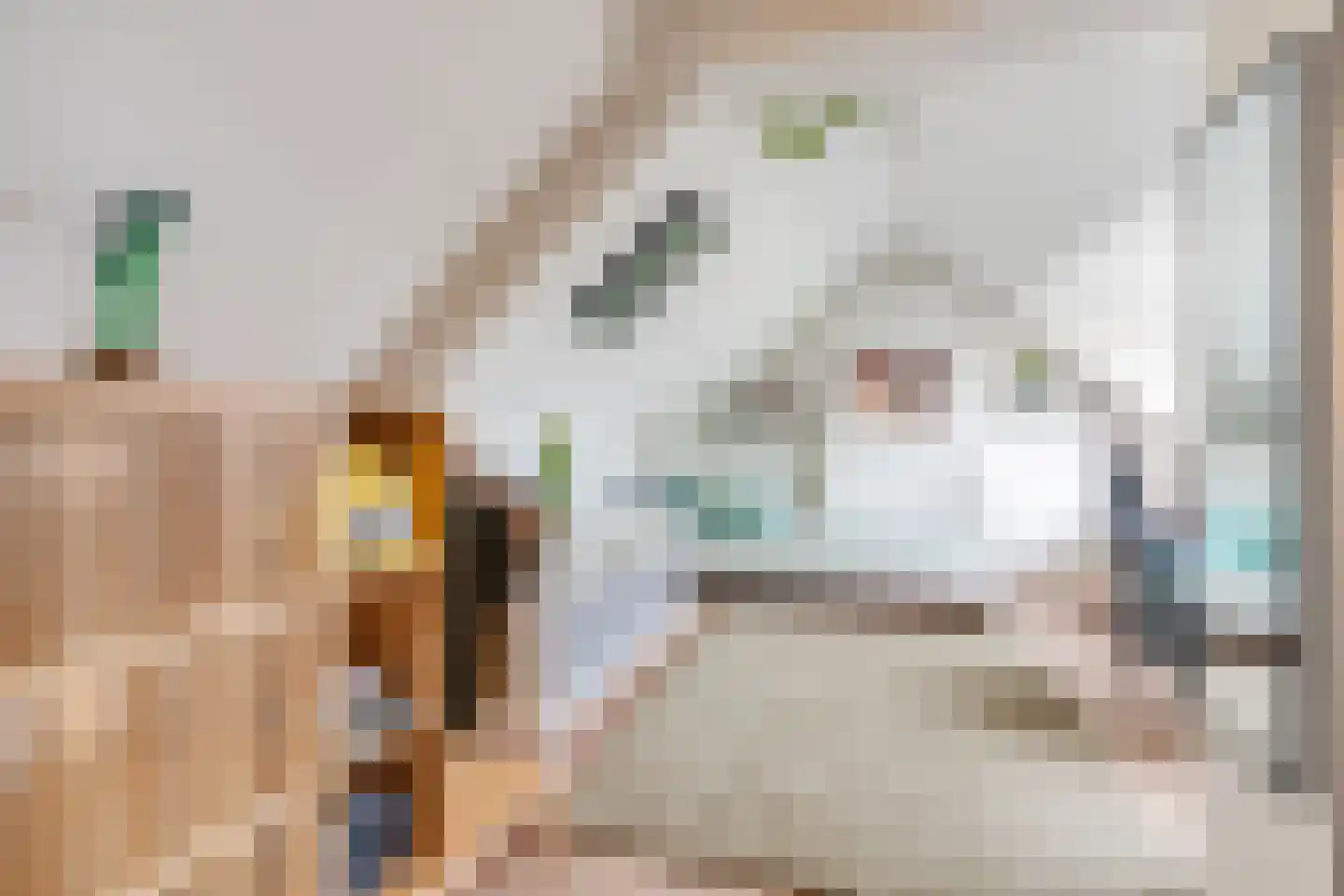 Biezenstraat 8 Geldrop thumbnail 51