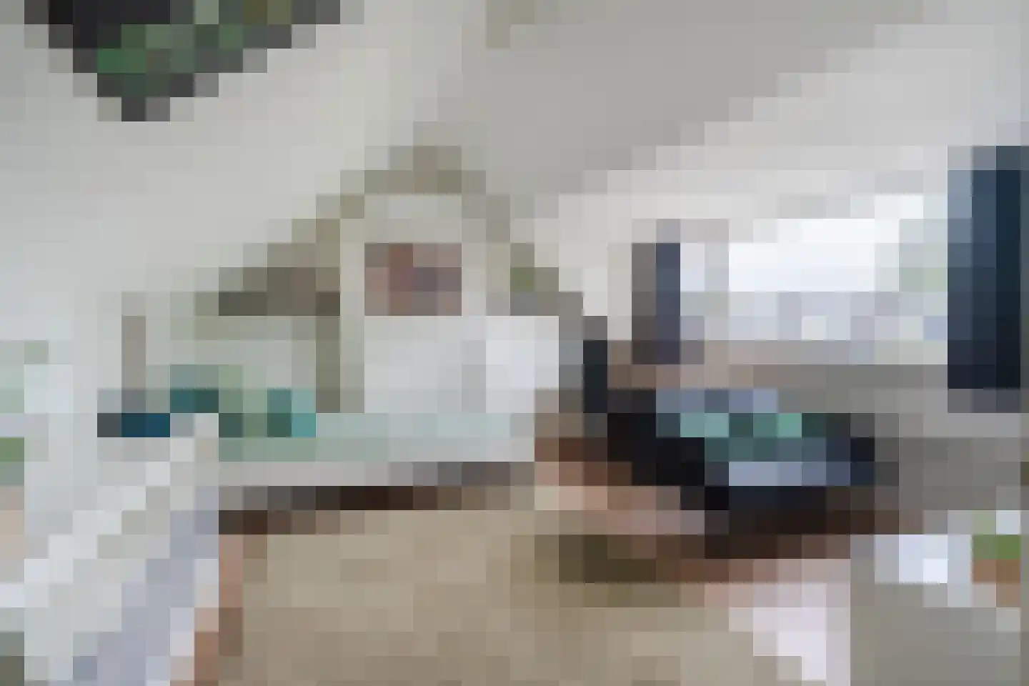 Biezenstraat 8 Geldrop thumbnail 52