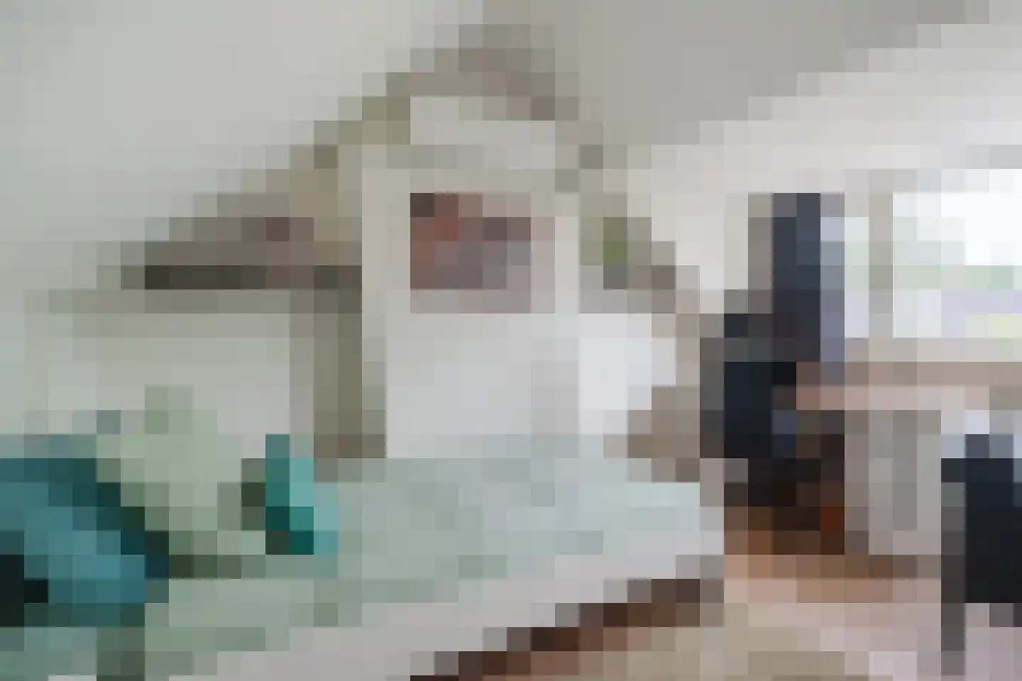 Biezenstraat 8 Geldrop thumbnail 53
