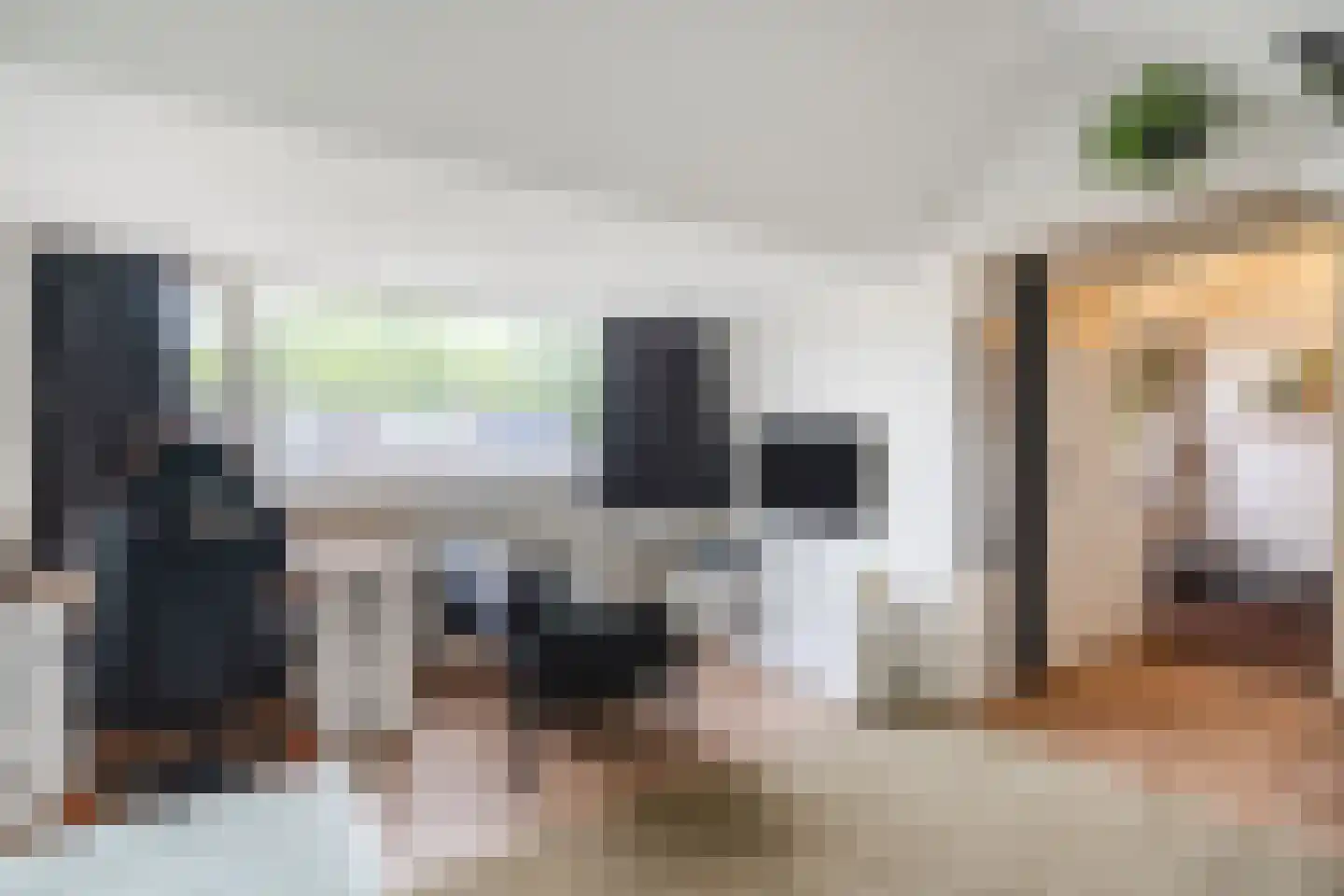 Biezenstraat 8 Geldrop thumbnail 54